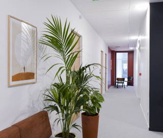 Bureau privé 29 m² 8 postes Location bureau Rue Amédée Saint-Germain Bordeaux 33800 - photo 8